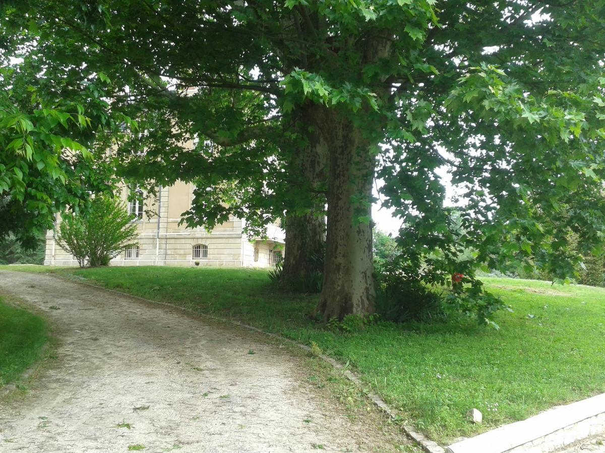 Orangerie Du Chateau Marith - Domaine Avec Piscine Clairac  Exterior photo